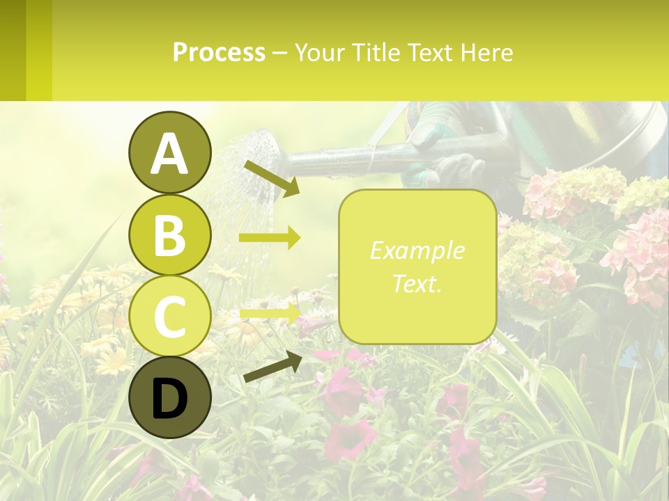 A Person Watering Flowers With A Watering Can PowerPoint Template