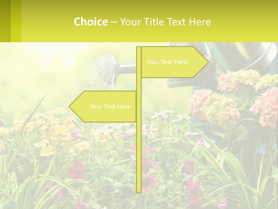 A Person Watering Flowers With A Watering Can PowerPoint Template