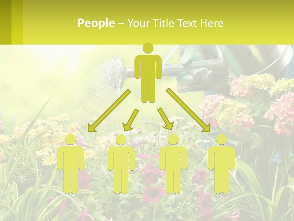 A Person Watering Flowers With A Watering Can PowerPoint Template