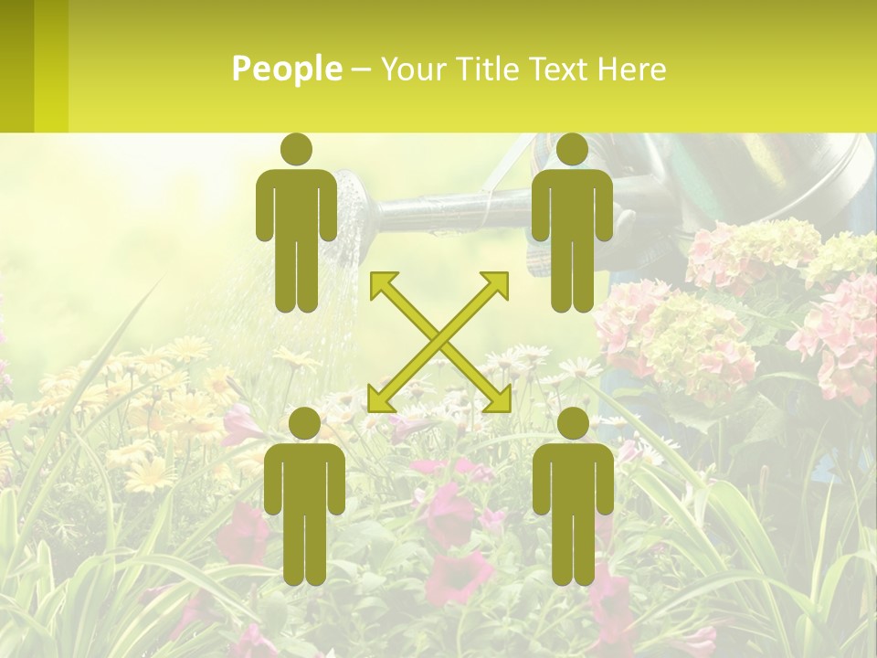 A Person Watering Flowers With A Watering Can PowerPoint Template