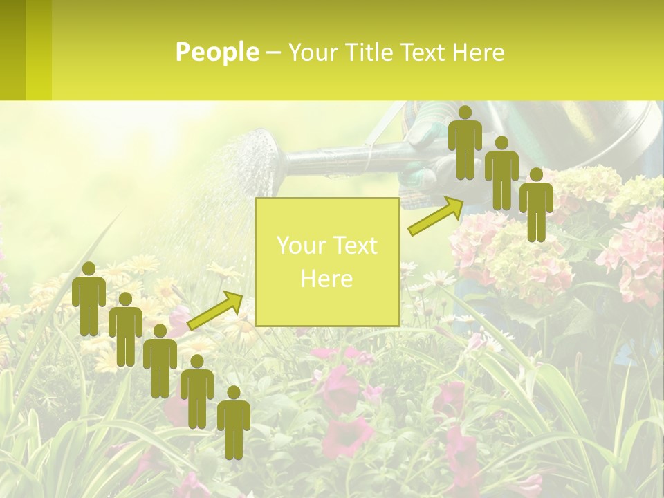A Person Watering Flowers With A Watering Can PowerPoint Template