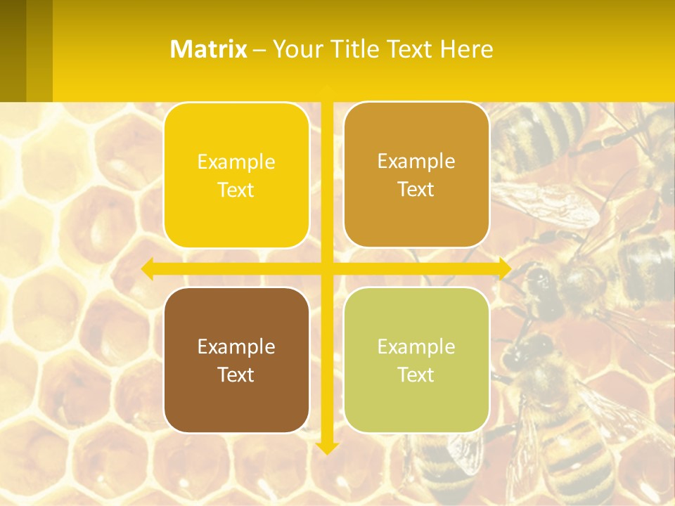A Group Of Bees Sitting On Top Of A Honeycomb PowerPoint Template