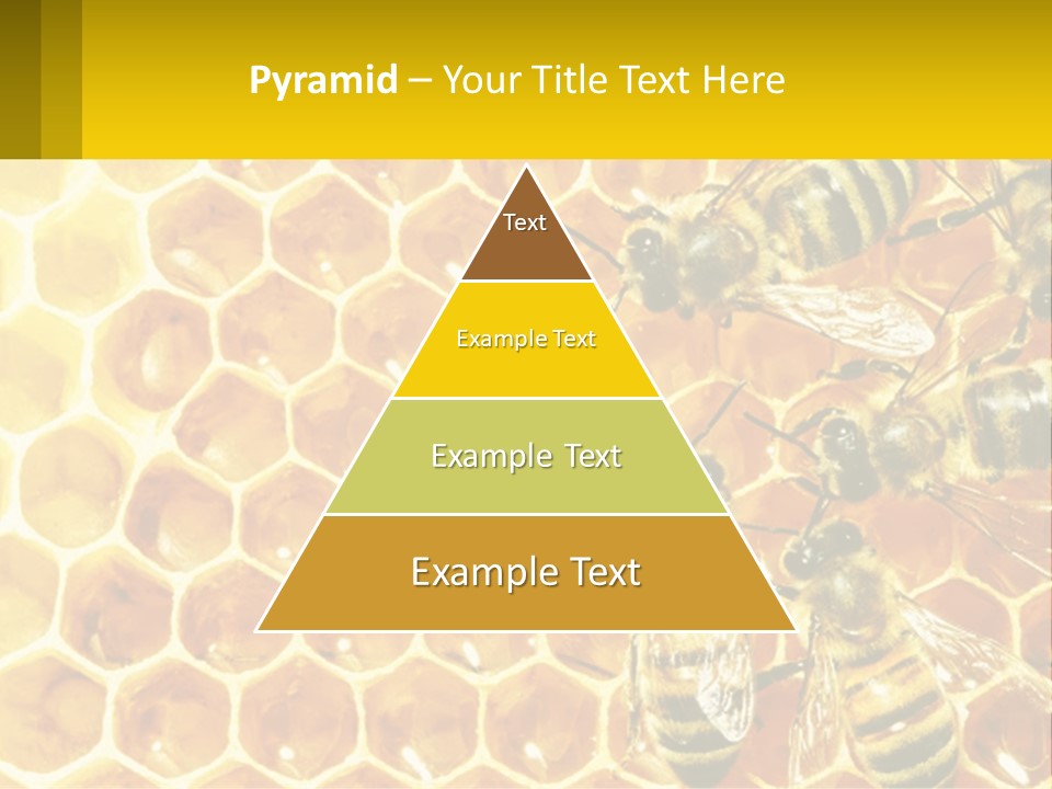 A Group Of Bees Sitting On Top Of A Honeycomb PowerPoint Template