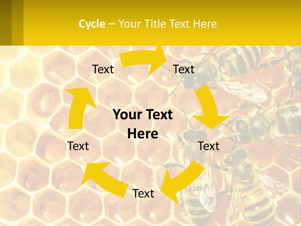 A Group Of Bees Sitting On Top Of A Honeycomb PowerPoint Template