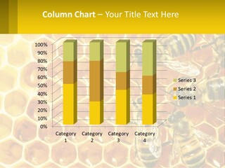 A Group Of Bees Sitting On Top Of A Honeycomb PowerPoint Template