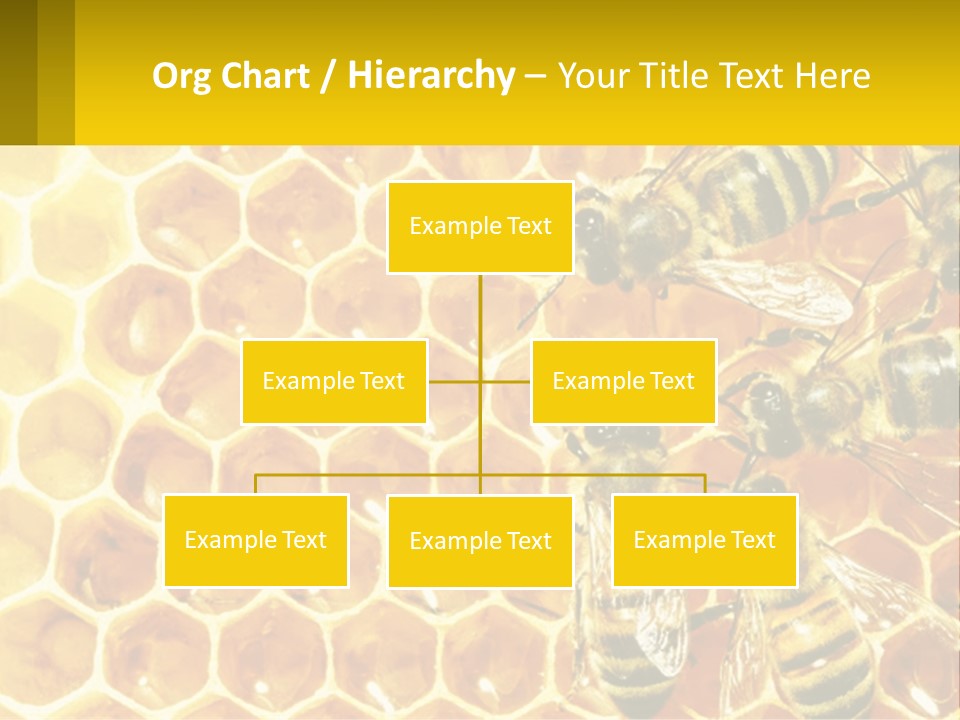 A Group Of Bees Sitting On Top Of A Honeycomb PowerPoint Template