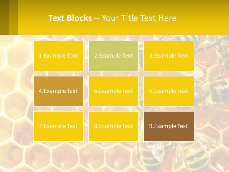 A Group Of Bees Sitting On Top Of A Honeycomb PowerPoint Template