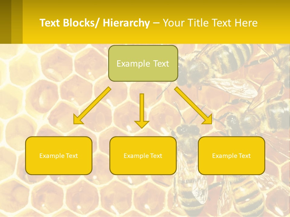 A Group Of Bees Sitting On Top Of A Honeycomb PowerPoint Template