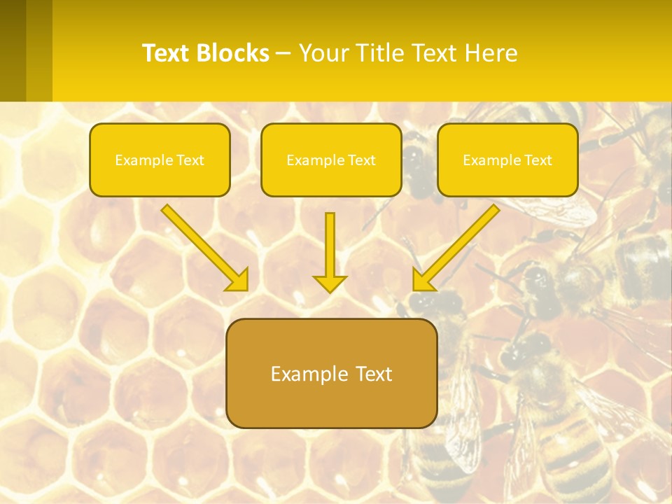 A Group Of Bees Sitting On Top Of A Honeycomb PowerPoint Template
