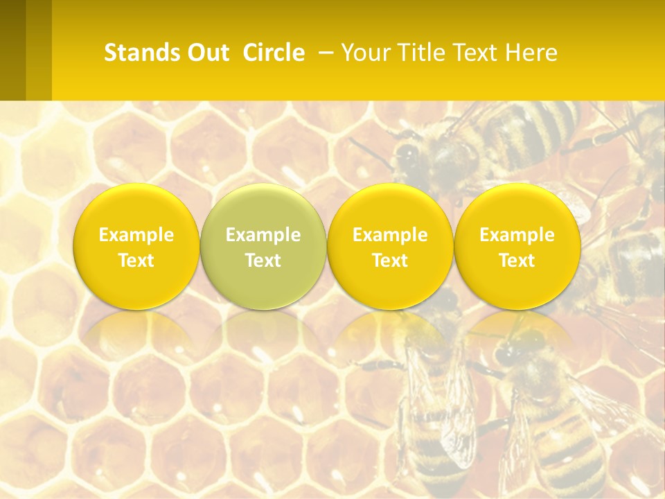 A Group Of Bees Sitting On Top Of A Honeycomb PowerPoint Template