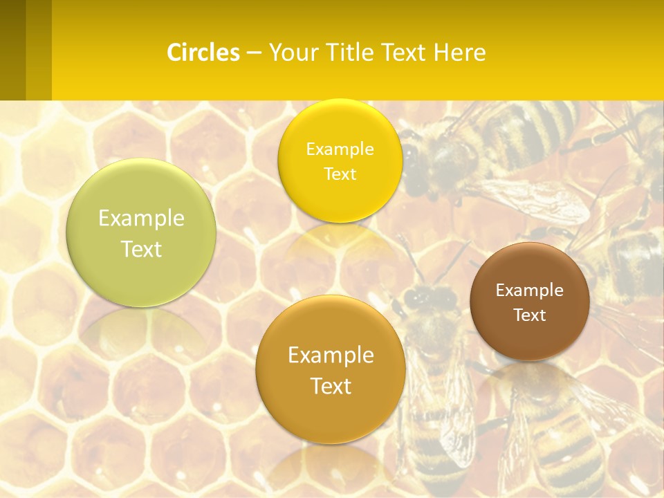 A Group Of Bees Sitting On Top Of A Honeycomb PowerPoint Template