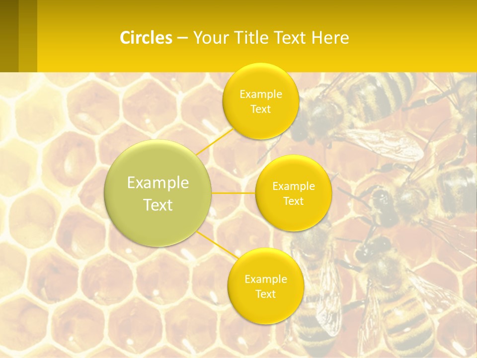 A Group Of Bees Sitting On Top Of A Honeycomb PowerPoint Template