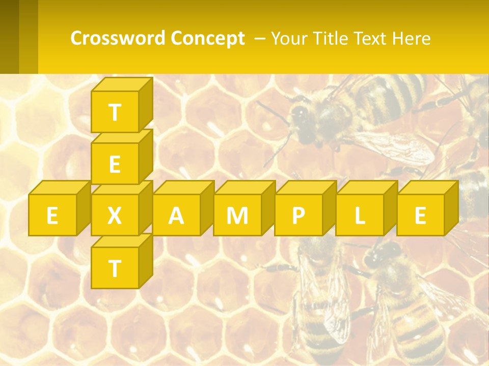 A Group Of Bees Sitting On Top Of A Honeycomb PowerPoint Template