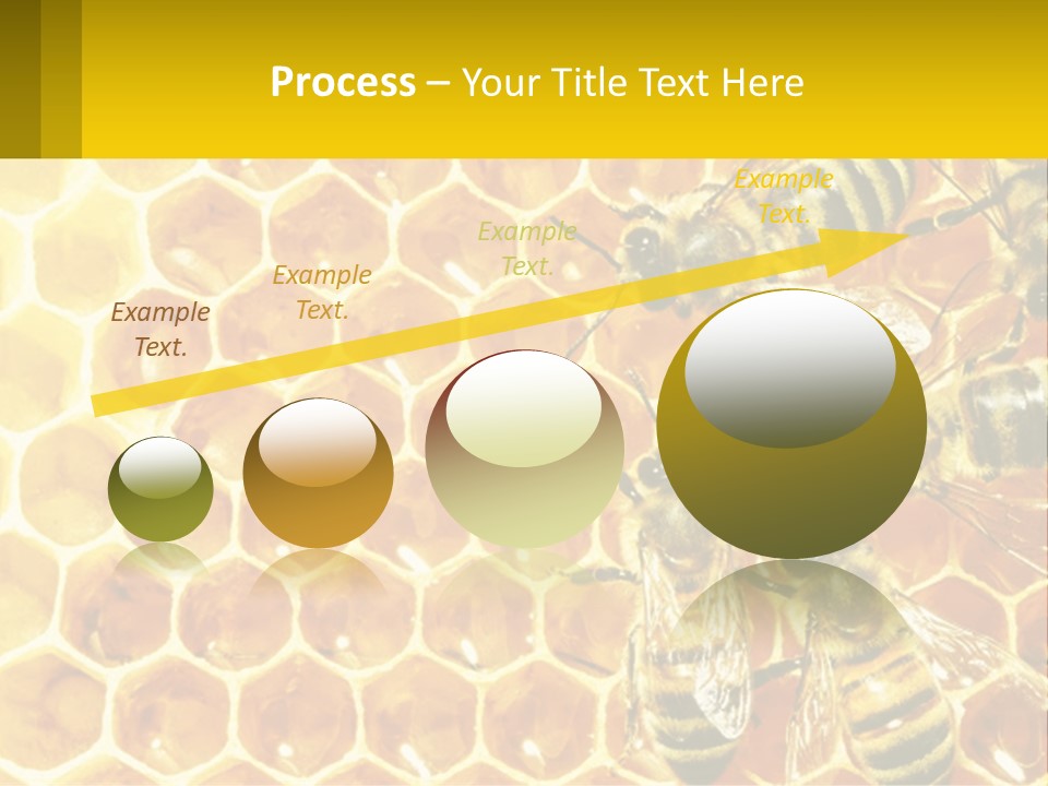 A Group Of Bees Sitting On Top Of A Honeycomb PowerPoint Template