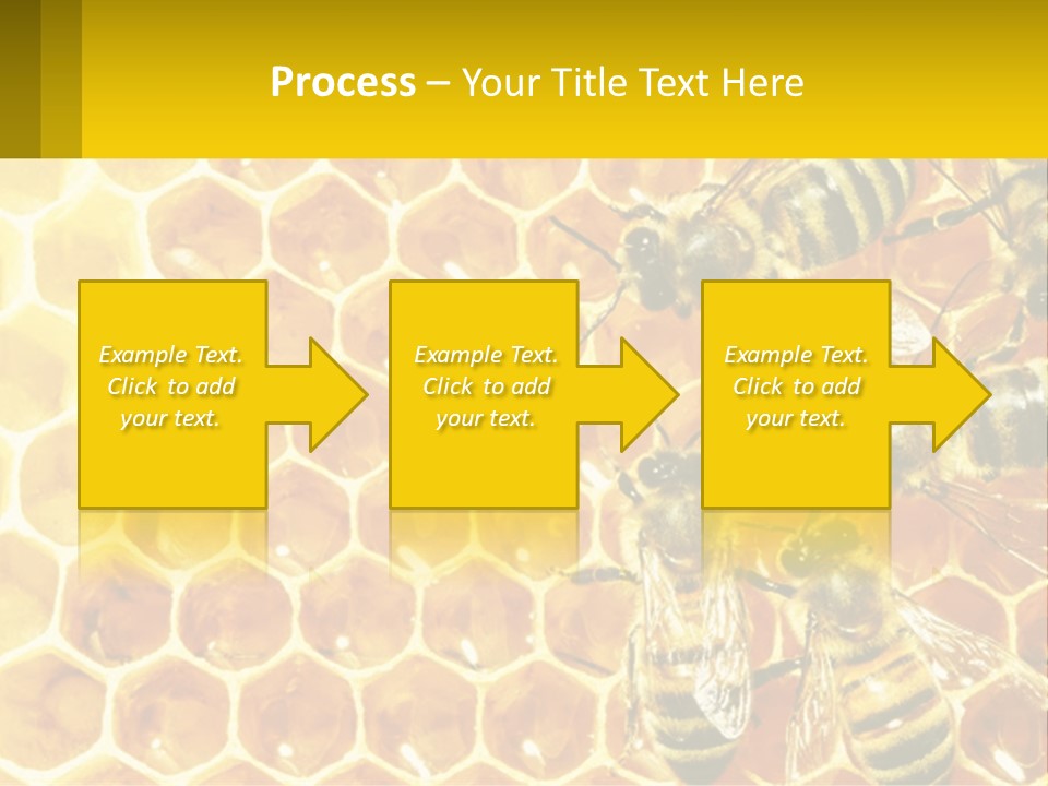A Group Of Bees Sitting On Top Of A Honeycomb PowerPoint Template