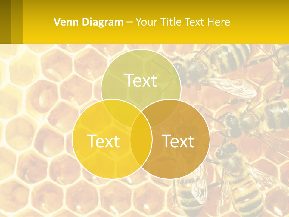A Group Of Bees Sitting On Top Of A Honeycomb PowerPoint Template