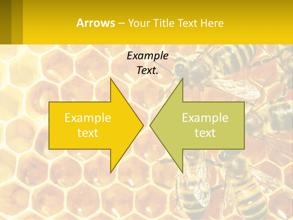 A Group Of Bees Sitting On Top Of A Honeycomb PowerPoint Template