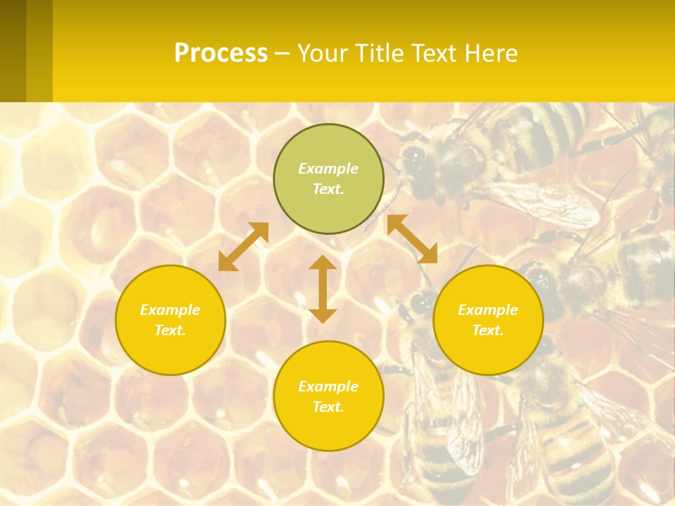 A Group Of Bees Sitting On Top Of A Honeycomb PowerPoint Template