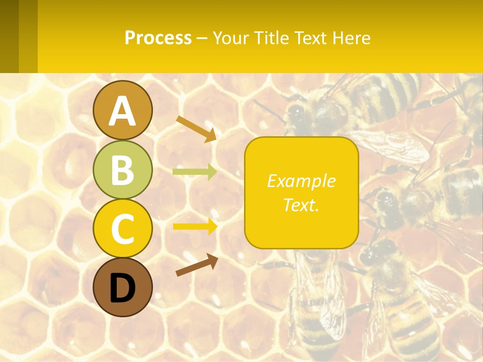 A Group Of Bees Sitting On Top Of A Honeycomb PowerPoint Template