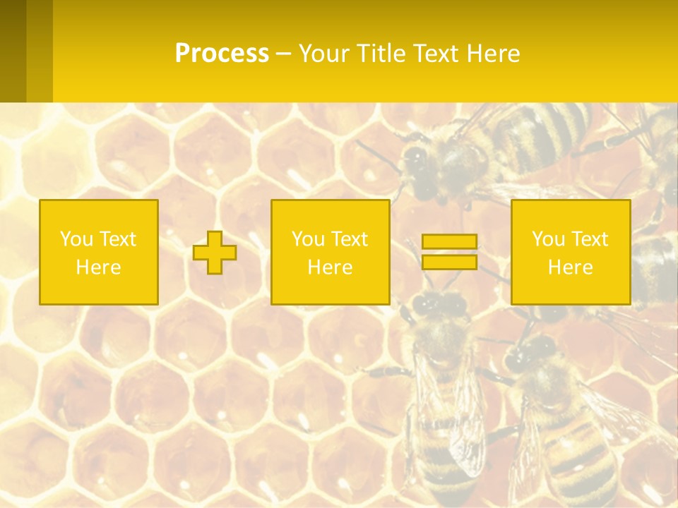 A Group Of Bees Sitting On Top Of A Honeycomb PowerPoint Template