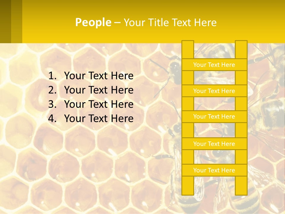 A Group Of Bees Sitting On Top Of A Honeycomb PowerPoint Template