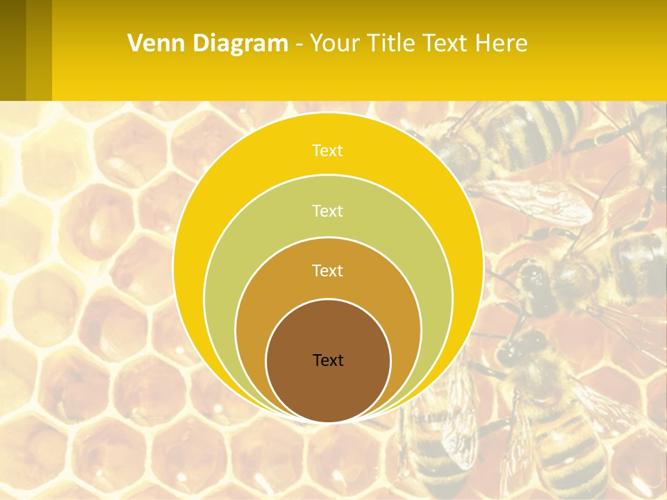 A Group Of Bees Sitting On Top Of A Honeycomb PowerPoint Template