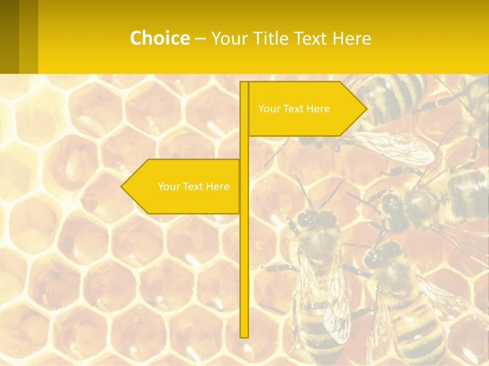 A Group Of Bees Sitting On Top Of A Honeycomb PowerPoint Template
