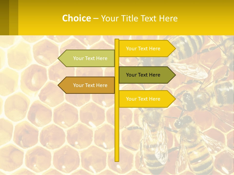 A Group Of Bees Sitting On Top Of A Honeycomb PowerPoint Template