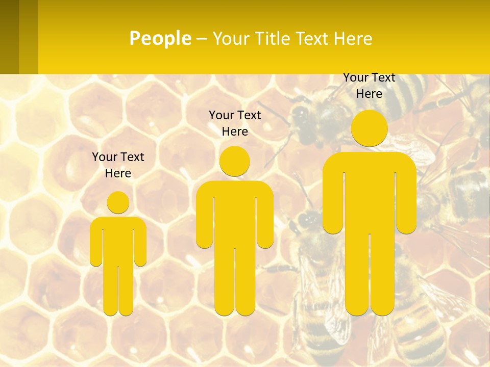 A Group Of Bees Sitting On Top Of A Honeycomb PowerPoint Template