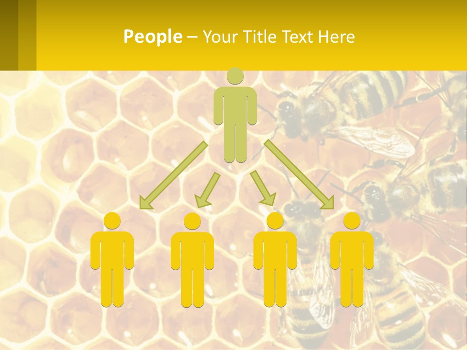A Group Of Bees Sitting On Top Of A Honeycomb PowerPoint Template