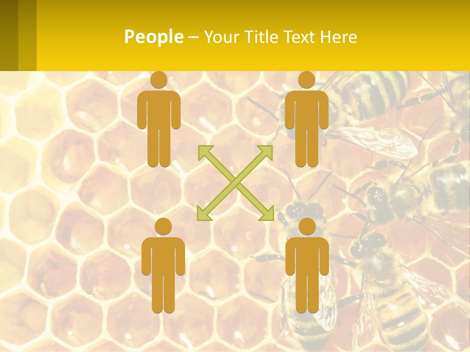 A Group Of Bees Sitting On Top Of A Honeycomb PowerPoint Template