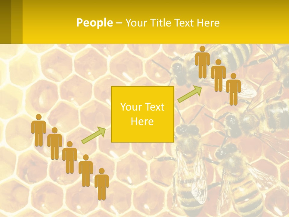 A Group Of Bees Sitting On Top Of A Honeycomb PowerPoint Template
