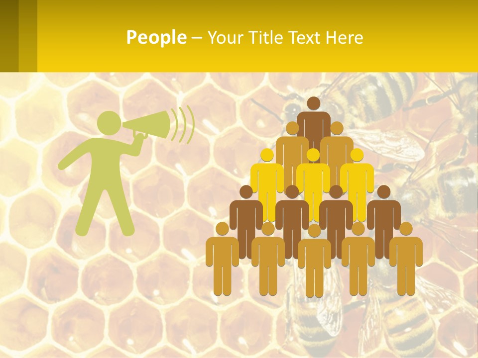A Group Of Bees Sitting On Top Of A Honeycomb PowerPoint Template