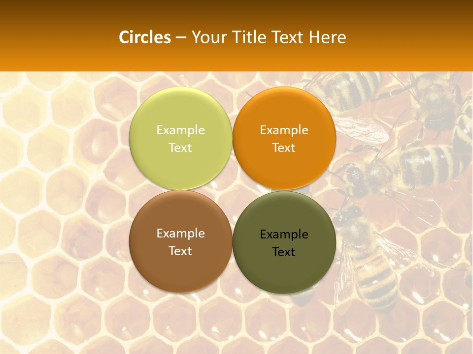 A Group Of Bees Sitting On Top Of A Honeycomb PowerPoint Template