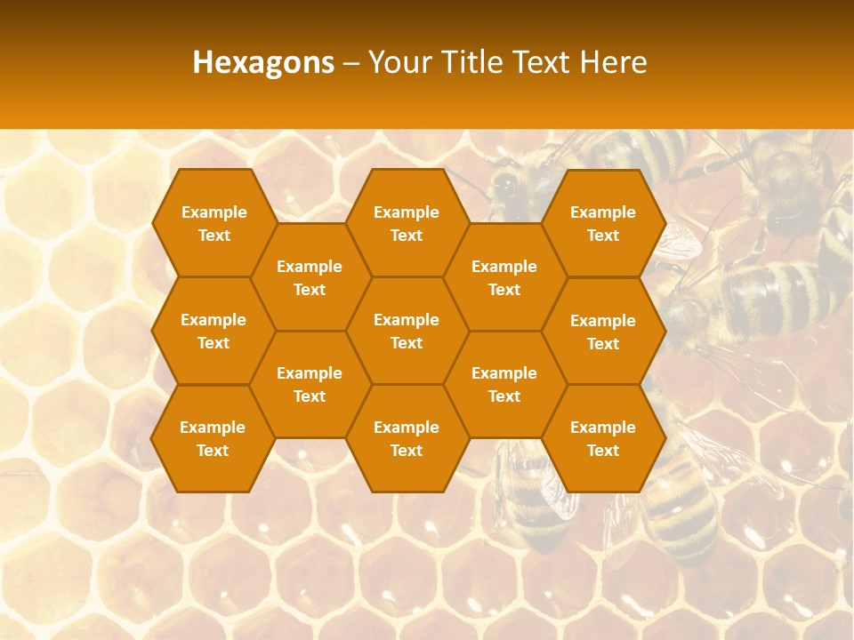 A Group Of Bees Sitting On Top Of A Honeycomb PowerPoint Template