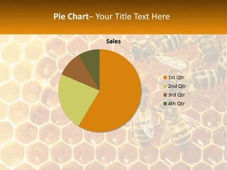 A Group Of Bees Sitting On Top Of A Honeycomb PowerPoint Template