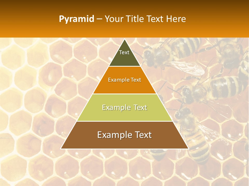 A Group Of Bees Sitting On Top Of A Honeycomb PowerPoint Template