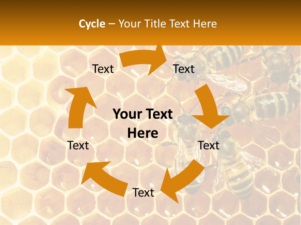 A Group Of Bees Sitting On Top Of A Honeycomb PowerPoint Template