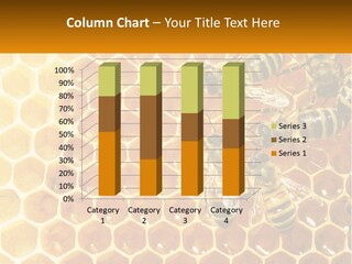 A Group Of Bees Sitting On Top Of A Honeycomb PowerPoint Template