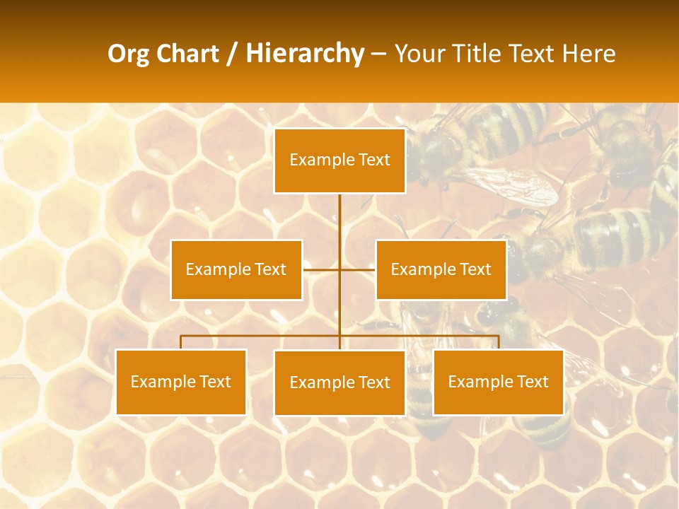 A Group Of Bees Sitting On Top Of A Honeycomb PowerPoint Template