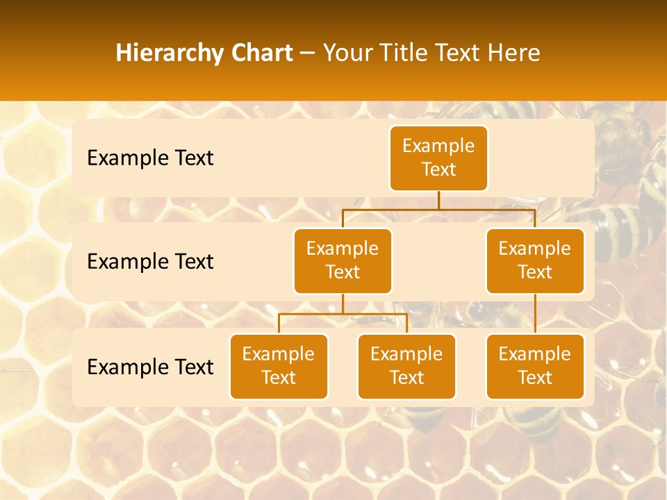 A Group Of Bees Sitting On Top Of A Honeycomb PowerPoint Template
