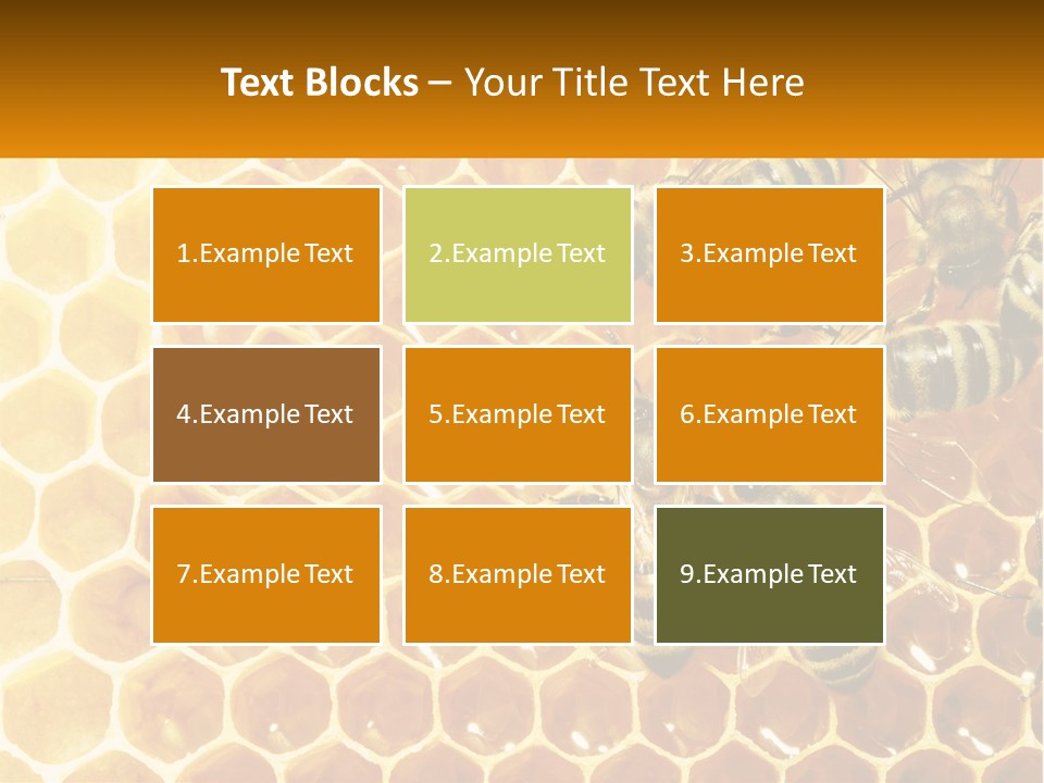 A Group Of Bees Sitting On Top Of A Honeycomb PowerPoint Template