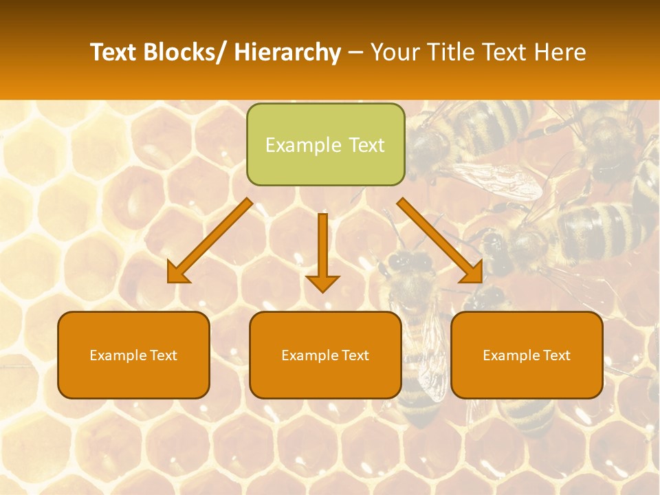 A Group Of Bees Sitting On Top Of A Honeycomb PowerPoint Template