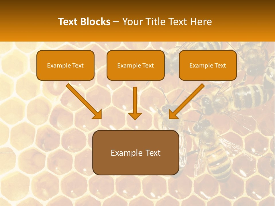 A Group Of Bees Sitting On Top Of A Honeycomb PowerPoint Template