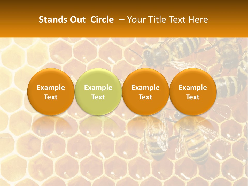 A Group Of Bees Sitting On Top Of A Honeycomb PowerPoint Template