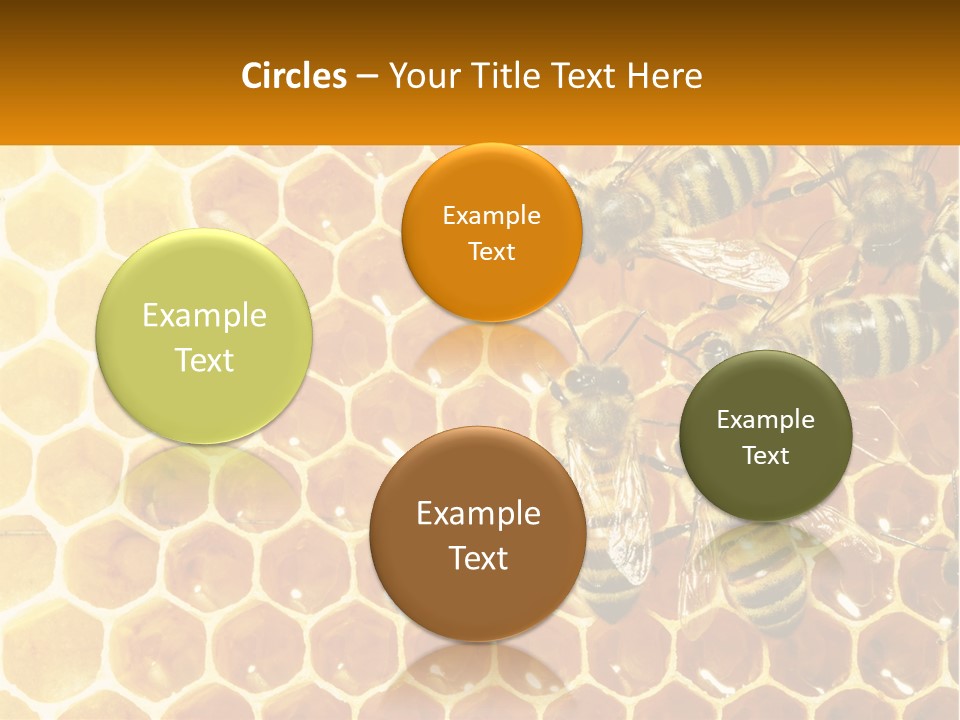 A Group Of Bees Sitting On Top Of A Honeycomb PowerPoint Template