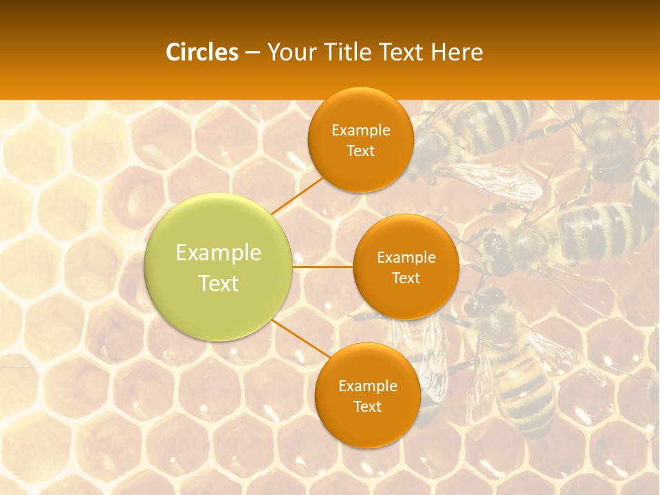 A Group Of Bees Sitting On Top Of A Honeycomb PowerPoint Template