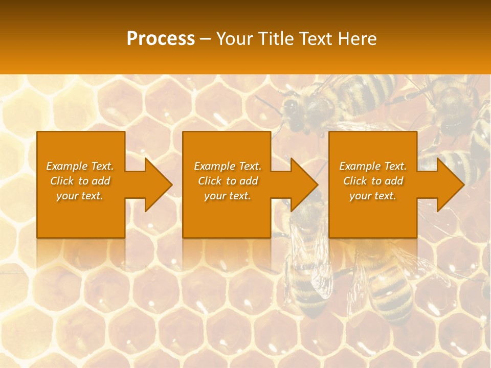 A Group Of Bees Sitting On Top Of A Honeycomb PowerPoint Template