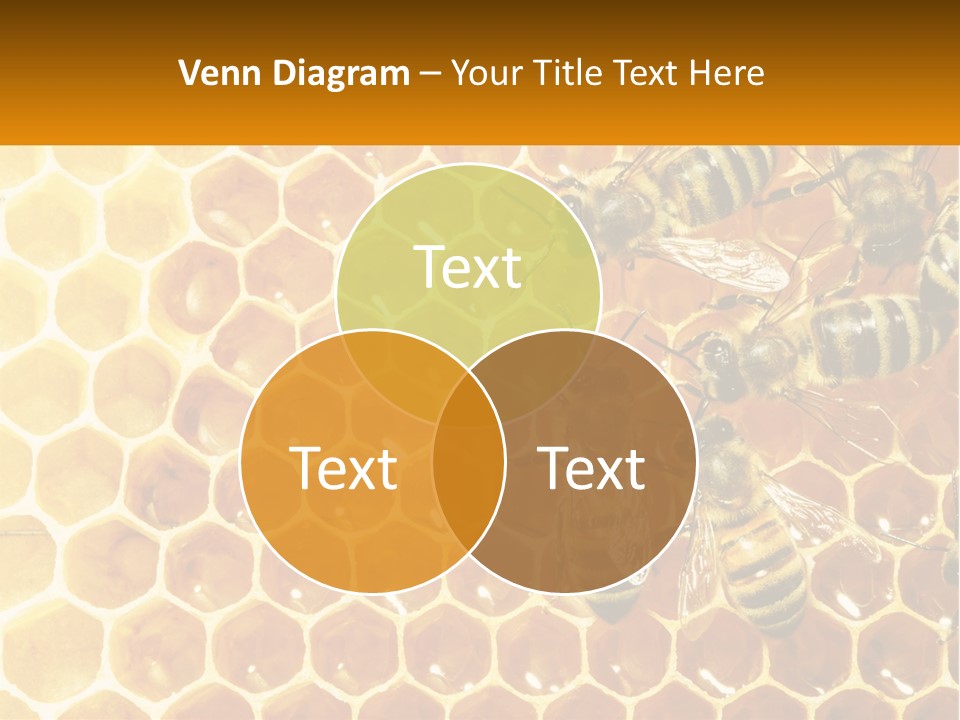 A Group Of Bees Sitting On Top Of A Honeycomb PowerPoint Template