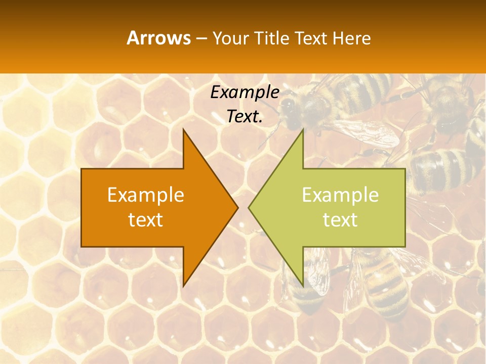 A Group Of Bees Sitting On Top Of A Honeycomb PowerPoint Template